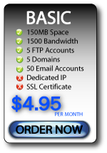 Web Hosting Basic