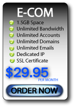 Web Hosting E-Commerce