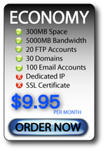 Web Hosting Economy