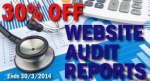 Website Audit Promo